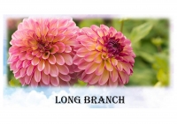 Long branch